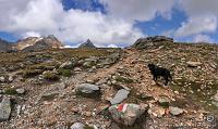 51 Masseria Maiern - Poschhaus - Lago Erpice - Passo Erpice